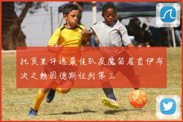 托莫里评选最佳队友魔笛居首伊布次之赖因德斯位列第三